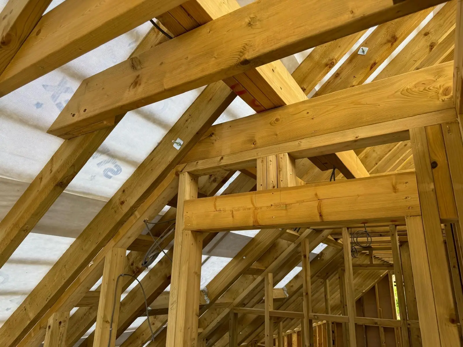 Rafters, purlin and ridge in the new cut roof, with breather membrane behind